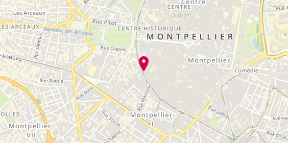 Plan de Clinique Veterinaire Vet'Ecusson, 11 Boulevard Ledru Rollin, 34000 Montpellier