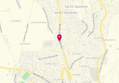 Plan de BUISSON Pierre, 13 Bis Route Bellegarde, 42330 Saint-Galmier