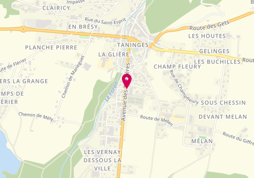 Plan de Vétérinaire du Marcelly - Docteur Marc GERODOLLE, 295 avenue des Thézières, 74440 Taninges