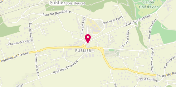 Plan de Okivét Clinique vétérinaire Les Gentiane, 14 Rue du Chablais, 74500 Publier