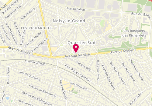 Plan de Clinique Veterinaire des Richardets, 101 avenue Médéric, 93160 Noisy-le-Grand