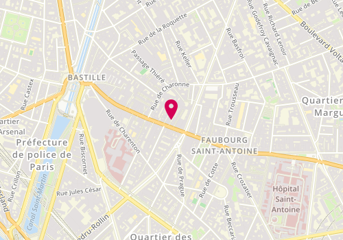 Plan de VETINPARIS - URGENCES vétérinaires Paris 24/24 et 7/7, 89 Rue du Faubourg Saint-Antoine, 75011 Paris